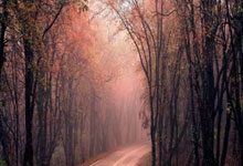 英超第24輪熱刺2-0西漢姆聯 孫凱再度連線!熱刺輕取對手重返前四!.