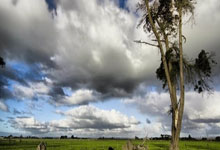 U20亞洲杯 戰平吉爾吉斯斯坦 中國隊勇闖八強!.